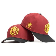 TCAP Kev Cai 100% Paj Rwb 6 Vaj Huam Sib Luag 3D Paj Ntaub Curved Brim Baseball Cap
